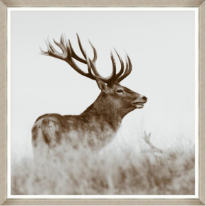 ABLO - Kronhjort (Z160)