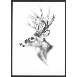 ABLO - Drawing of a Deer (DS111)