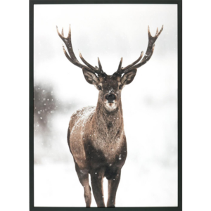 ABLO - Running Deer (DS079)