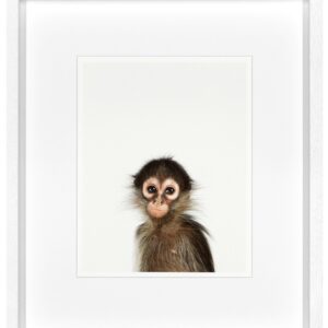 ABLO - Animal Print Monkey (AP003)
