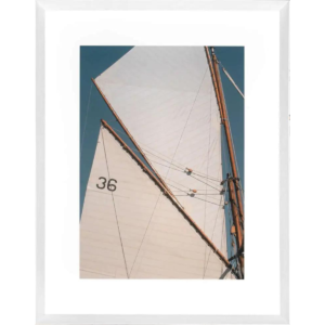 ABLO - Viole 36 (DA574)