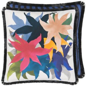 CL - Iris Des Marais pute - Craie