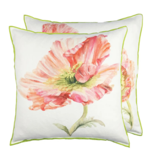 DG - Coquelicot pute - Coral