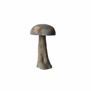 Consilimo - Balo mushroom - Brown