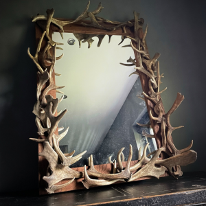 Beast - Antler mirror